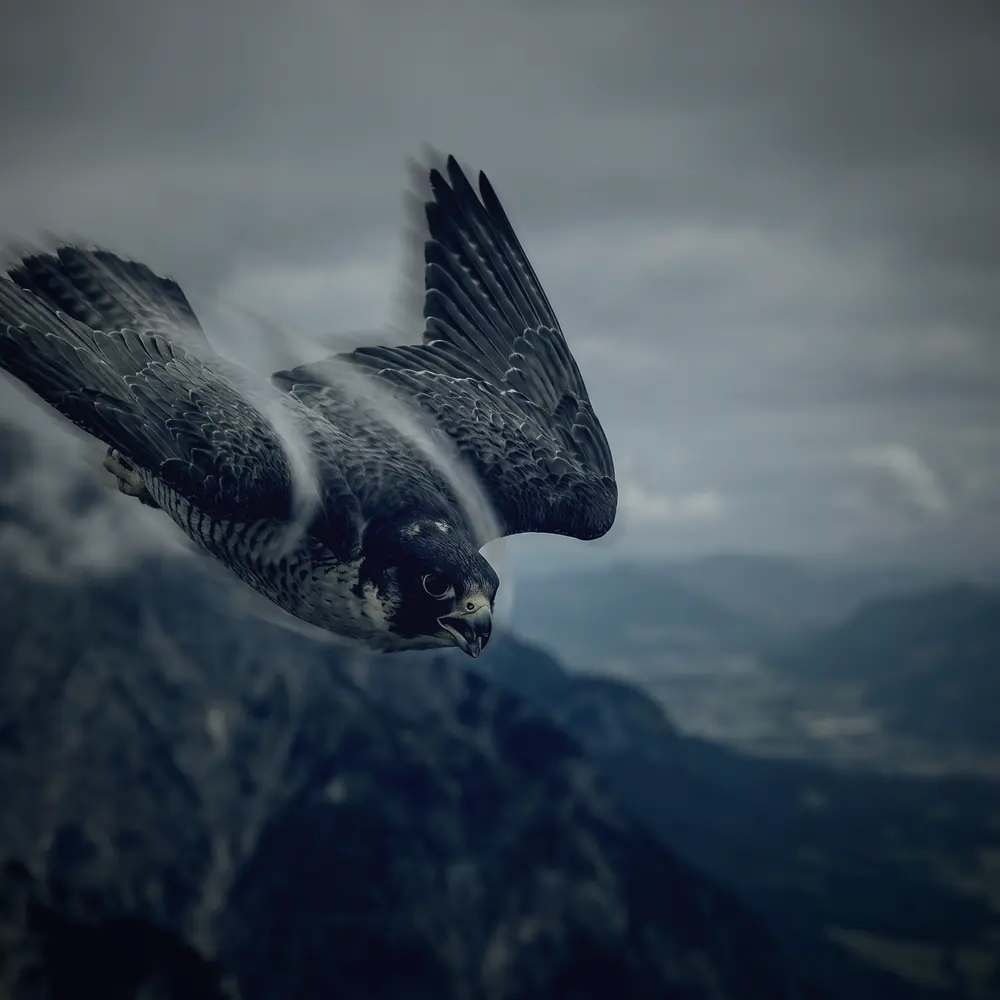 Falcão-peregrino em mergulho sobre as montanhas